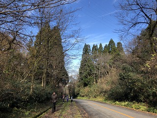 2019-12-1山歩き (5).jpg